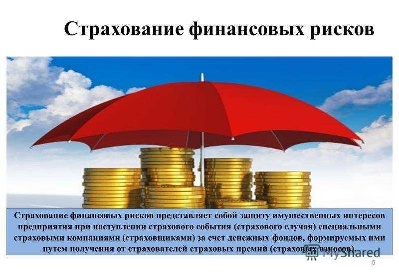 Финансовая автономия в зрелом возрасте: сущность защиты жизни